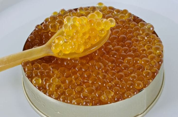 تصویر 1 از خاویار طلایی بلوگا تهیه شده از ماهیان پرورشی ممتاز